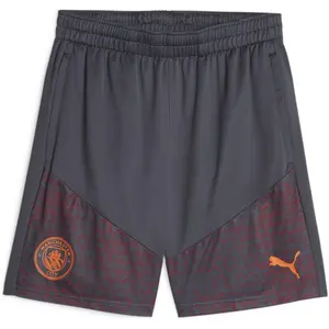 Puma Short Training Manchester City 2023/24 gris XS pas cher