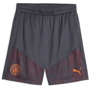 Puma Short Training Manchester City 2023/24 gris M pas cher