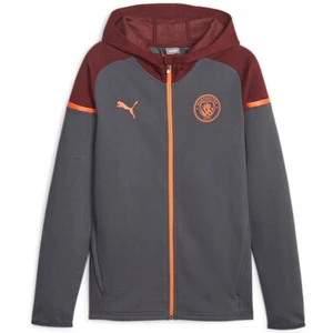 Comparateur de prix : Puma Sweat à capuche Manchester City FC gris S