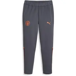 Comparateur de prix : Puma Jogging Manchester City gris S
