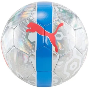 Puma Ballon de football Cup gris T5Vendu paramazon