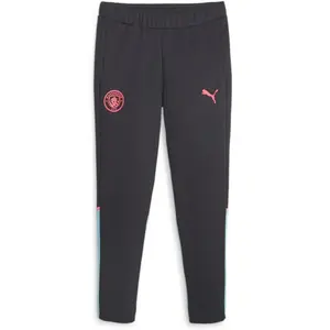 Puma Pantalon de survêtement Casuals Manchester City bleu XSVendu paramazon