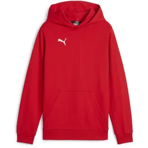 Comparateur de prix : Puma teamGOAL Casuals Hoody Jr rouge 164