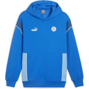 Comparateur de prix : Puma Sweat-shirt à Zip Manchester City Football Archive