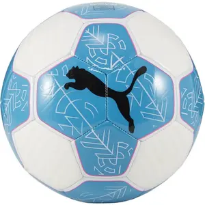 Comparateur de prix : Ballon De Football Puma Prestige