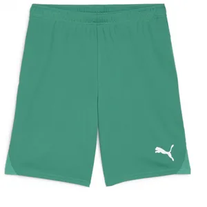 Puma teamGOAL Shorts Jr vert 128 pas cher
