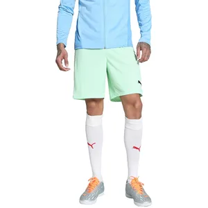 Puma teamGOAL Shorts vert L pas cher