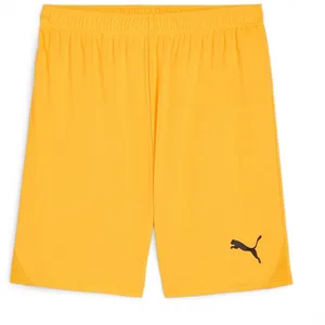 Puma teamGOAL Shorts orange XL pas cher