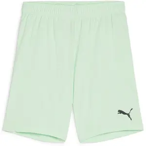 Puma teamGOAL Shorts Jr vert 140 pas cher
