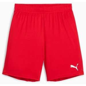 Comparateur de prix : Puma teamGOAL Shorts Jr rouge 116