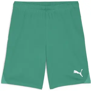 Comparateur de prix : PUMA teamGOAL Shorts, Short en Maille Adultes Unisexes, Sport Green-PUMA White, 705752