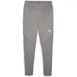 Puma teamFINAL Training Pants argent S pas cher