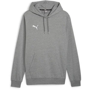 Comparateur de prix : Puma Sweatshirt à capuche Teamgoal Casuals gris L