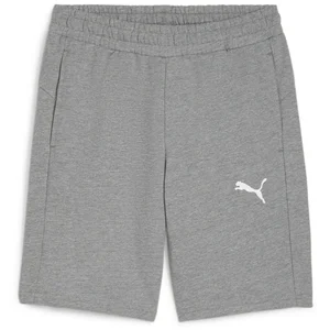 Comparateur de prix : Puma Short TeamGoal gris S