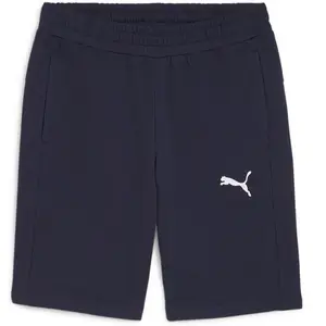 Comparateur de prix : Puma Short TeamGoal bleu S