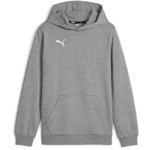Puma teamGOAL Casuals Hoody Jr gris 116Vendu paramazon
