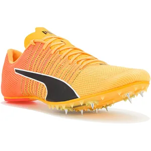 Puma Chaussures De Piste Teamwear Evospeed Future 6 pas cher