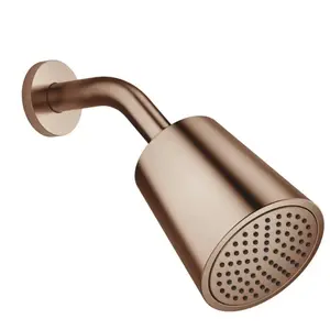 Dornbracht Lissé Set de Douche de tête, 1 jet, 28504979-42, pas cher