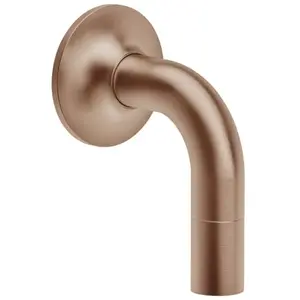 Dornbracht VAIA Raccord de flexible, 28450809-42, pas cher