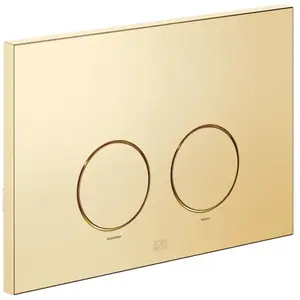 Dornbracht IMO Plaque de déclenchement, 12665979-28,