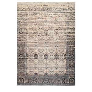 Comparateur de prix : Non communiqué Tapis Vintage Motif Oriental Galaxy IV Beige & Bleu 170 x 240 cm