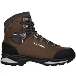 Lowa Camino Evo Gtx marron 43,5 pas cher