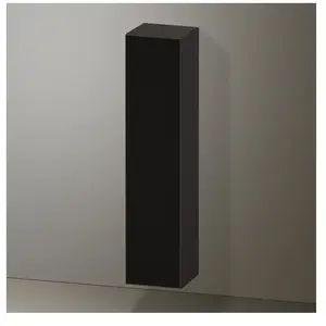 Duravit Zencha Colonne, 1 porte, ZE1352L63800000, pas cher