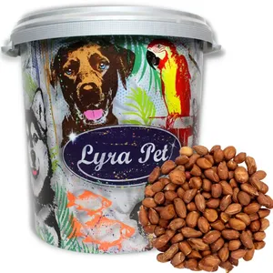 Lyra Pet - 10 kg de cacahuètes ® avec peau hk Argentinain 30 l tonne pas cher