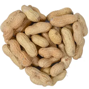 Lyra Pet - 10 kg de cacahuètes ® en cosses hk Argentine pas cher