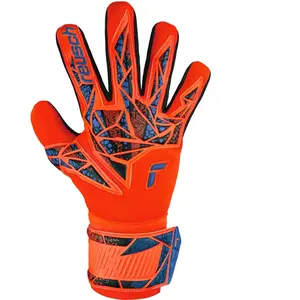 Reusch Attrakt Silver NC pas cher