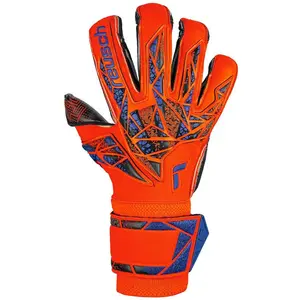 Comparateur de prix : Reusch Gants De Gardien De But Attrakt Gold X Evolution Glueprint