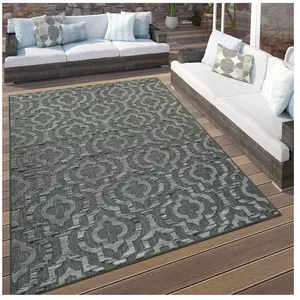 PACO HOME Tapis Terrasse Intérieur Extérieur Motif Ethnique Bordure Résistant Moderne Gris [80x150 cm]