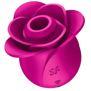 Comparateur de prix : Satisfyer Pro 2 Modern Blossom