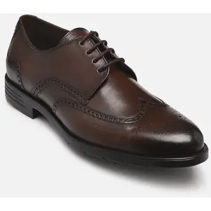 Eezy 140 par Lloyd Marron 40 Homme pas cher