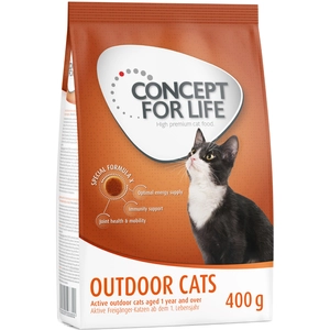 400g Outdoor Cats Concept for Life Croquettes pour chat pas cher