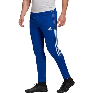 adidas TIRO21 TR PNT Pants (1/1) Mens, ROYBLU, SVendu paramazon