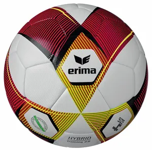 Erima Hybrid Training 2.0 pas cher