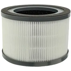 vhbw Filtre à air compatible avec Levoit Vista 200 purificateur d'air ...Vendu paramazon