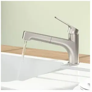 Comparateur de prix : Villeroy&boch - Robinet cuisine villeroy et boch Junis Shower