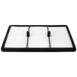 ACKOJA Filtre à air pour KIA: Niro & HYUNDAI: Ioniq/5 (Ref: A52-0489) pas cher