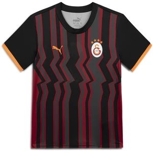 Puma Maillot Third 24/25 Galatasaray SK Enfant et Adolescent noir 164 pas cher