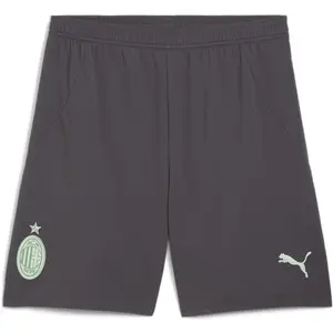 Puma Short Milan AC 2024/25 Gris S 775130-03 pas cher