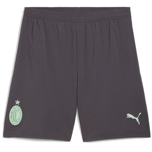 Puma Short Milan AC 2024/25 Gris L 775130-03 pas cher