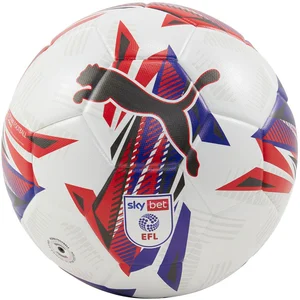 Comparateur de prix : Puma Ballon Orbita 3 Sky Bet EFL 2024/25 blanc T5