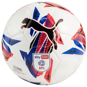 Puma Ballon d'entraînement Orbita 6 EFL Sky Bet 2024/25 blanc T5 pas cher