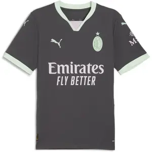Comparateur de prix : PUMA Troisième Maillot AC Milan 2024/25 Homme - Grey, Grey S