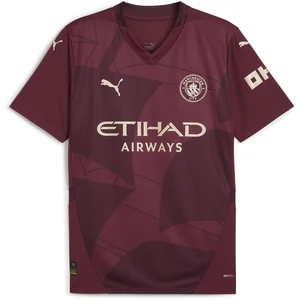 Comparateur de prix : Puma Maillot Third Manchester City 2024/25 Rouge L 775201-03