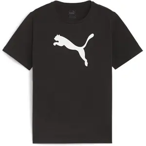 Comparateur de prix : Puma teamRISE Logo Jersey Cotton Jr noir 176