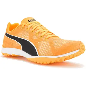 Comparateur de prix : PUMA Mixte Evospeed Haraka 8 Unisex Track and Field Shoe, Sun Stream Black White, 44 EU