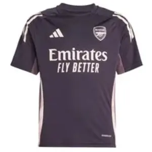 Comparateur de prix : adidas Enfant Arsenal FC Entraînement 2024-2025 violet 7-8 ans